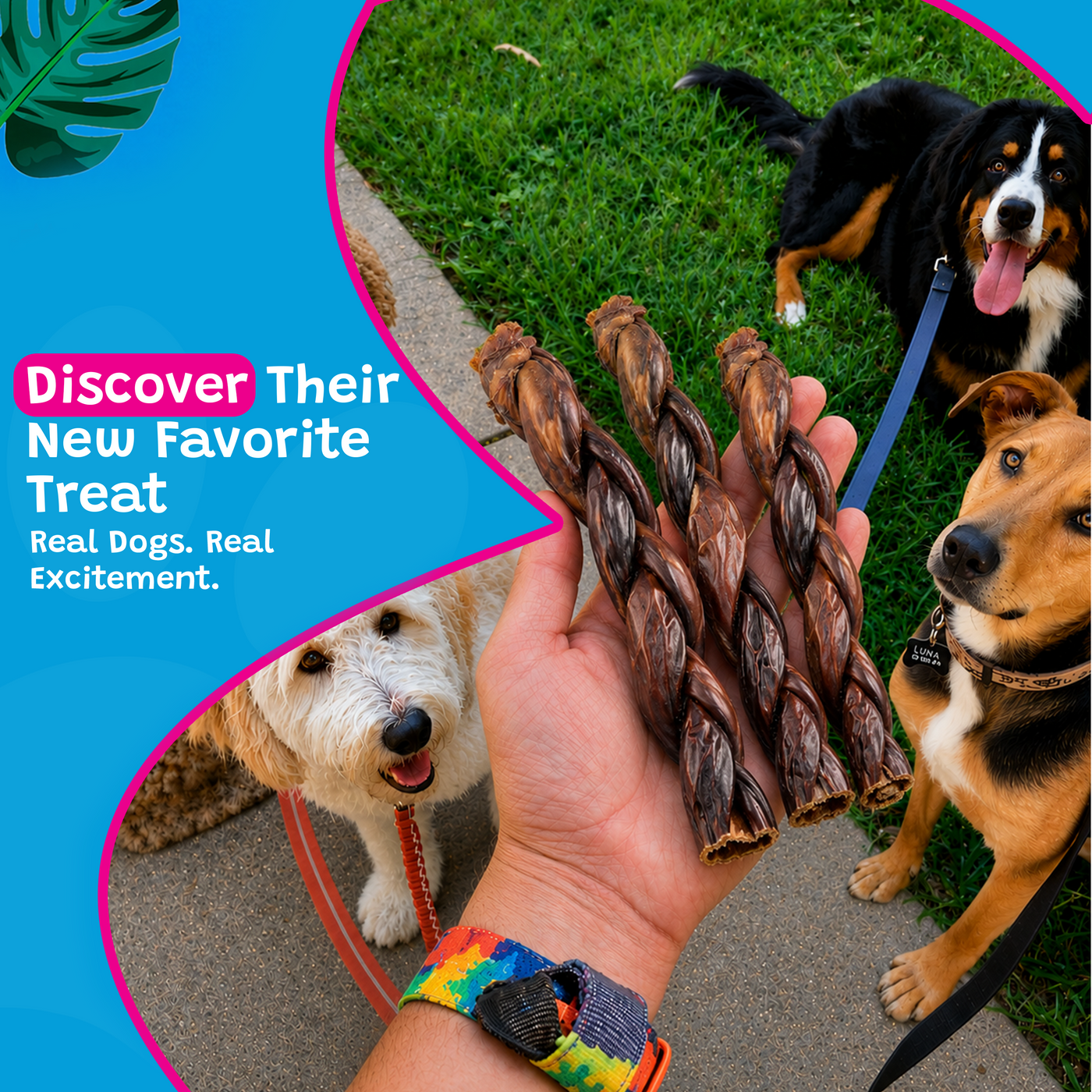 Woof Island Braided Beef Collagen Dog Chew, Long-Lasting Natural Collagen Chew for Aggressive Chewers 12 Inch