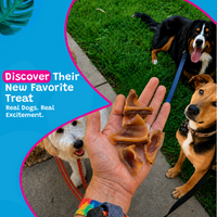 Woof Island Sliced Pig Ear Dog Chew, Natural High-Protein Crunchy Dental Treat for Dogs