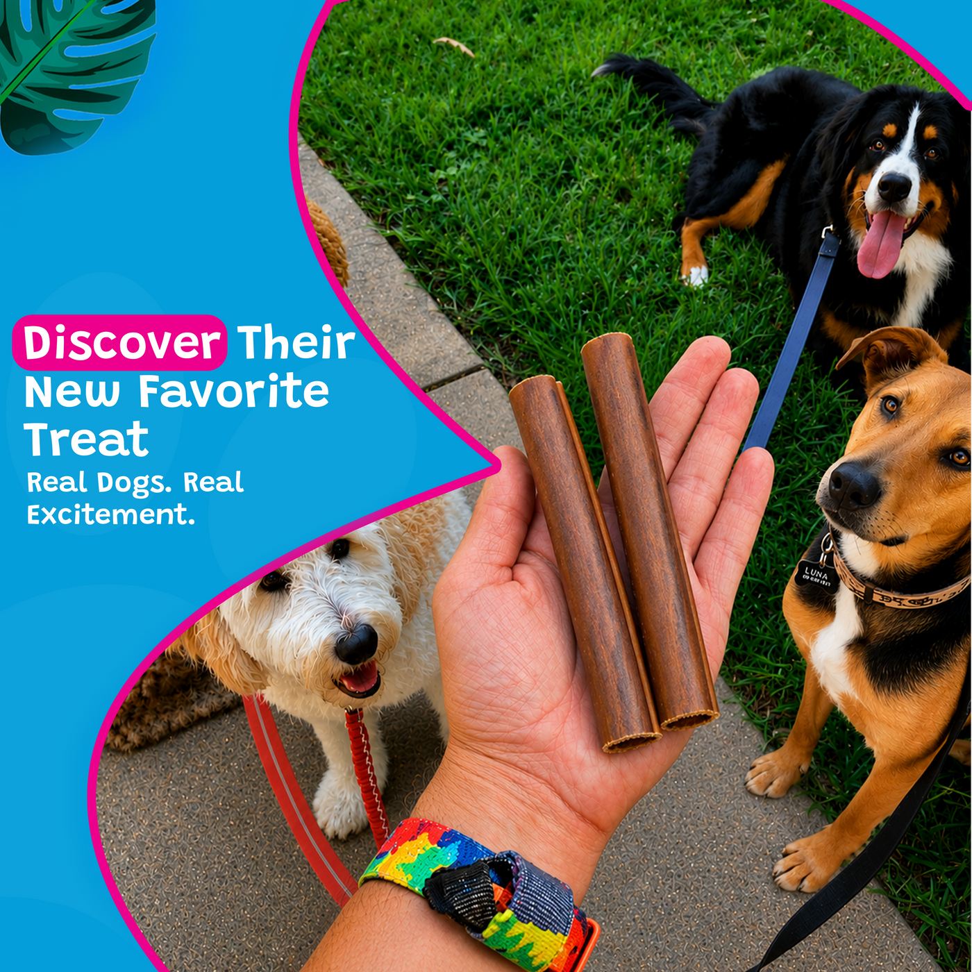 Woof Island Beef Collagen Stick, Long-Lasting Natural Collagen Rawhide-Free Dog Chew for Aggressive Chewers 6 Inch