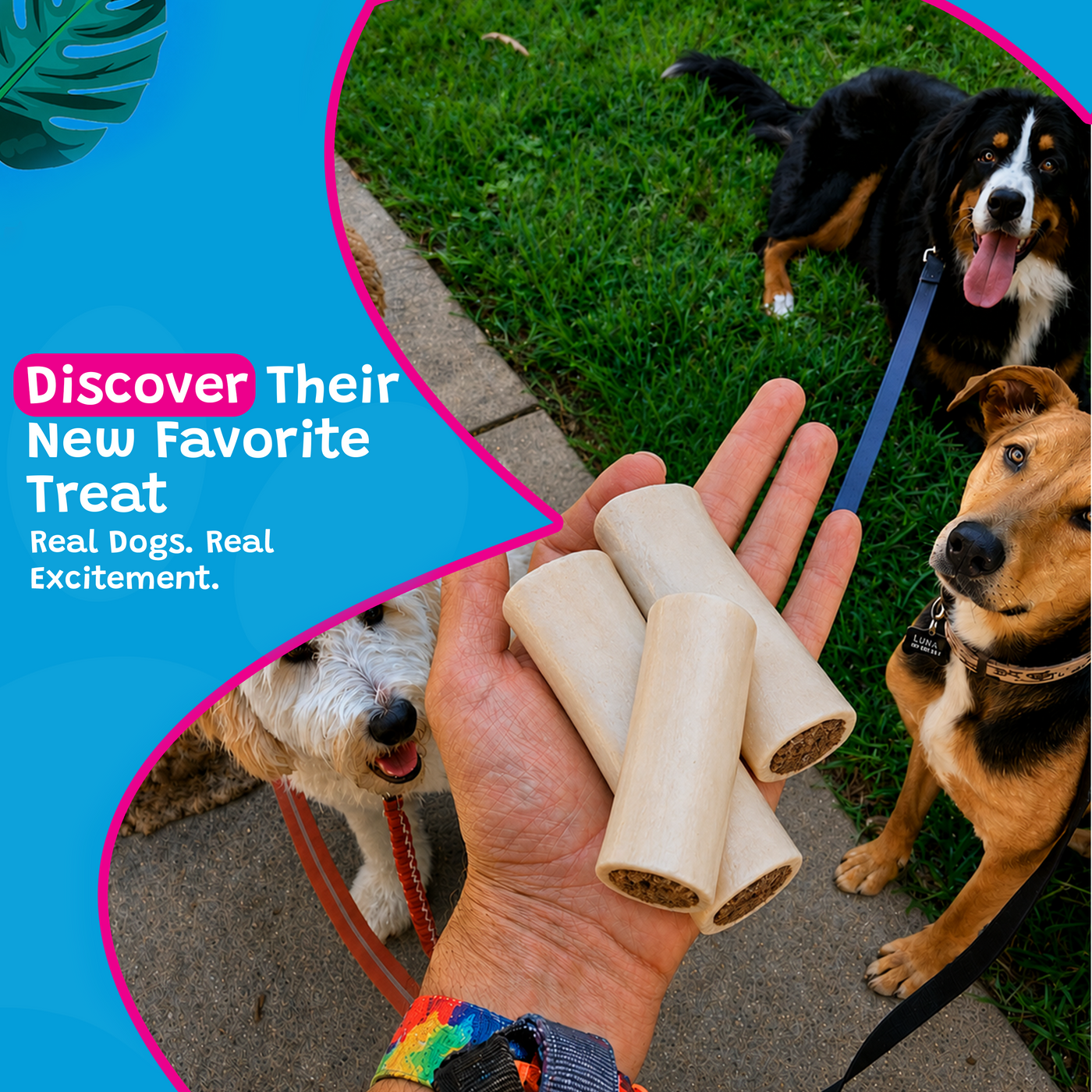 Woof Island Bully Stick Filled Bone Dog Chew, Long-Lasting Natural Bone for Aggressive Chewers 5–6 Inch