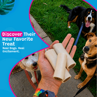 Woof Island Bully Stick Filled Bone Dog Chew, Long-Lasting Natural Bone for Aggressive Chewers 5–6 Inch
