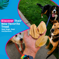 Woof Island Natural Cow Ear Dog Chew, Low-Fat Crunchy Pig Ear Alternative for Dogs