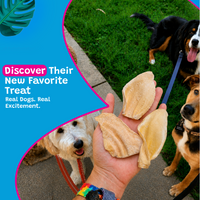 Woof Island White Cow Ear Dog Chew, Natural, Clean Low-Fat Stain-Free Dental Treat for Dogs