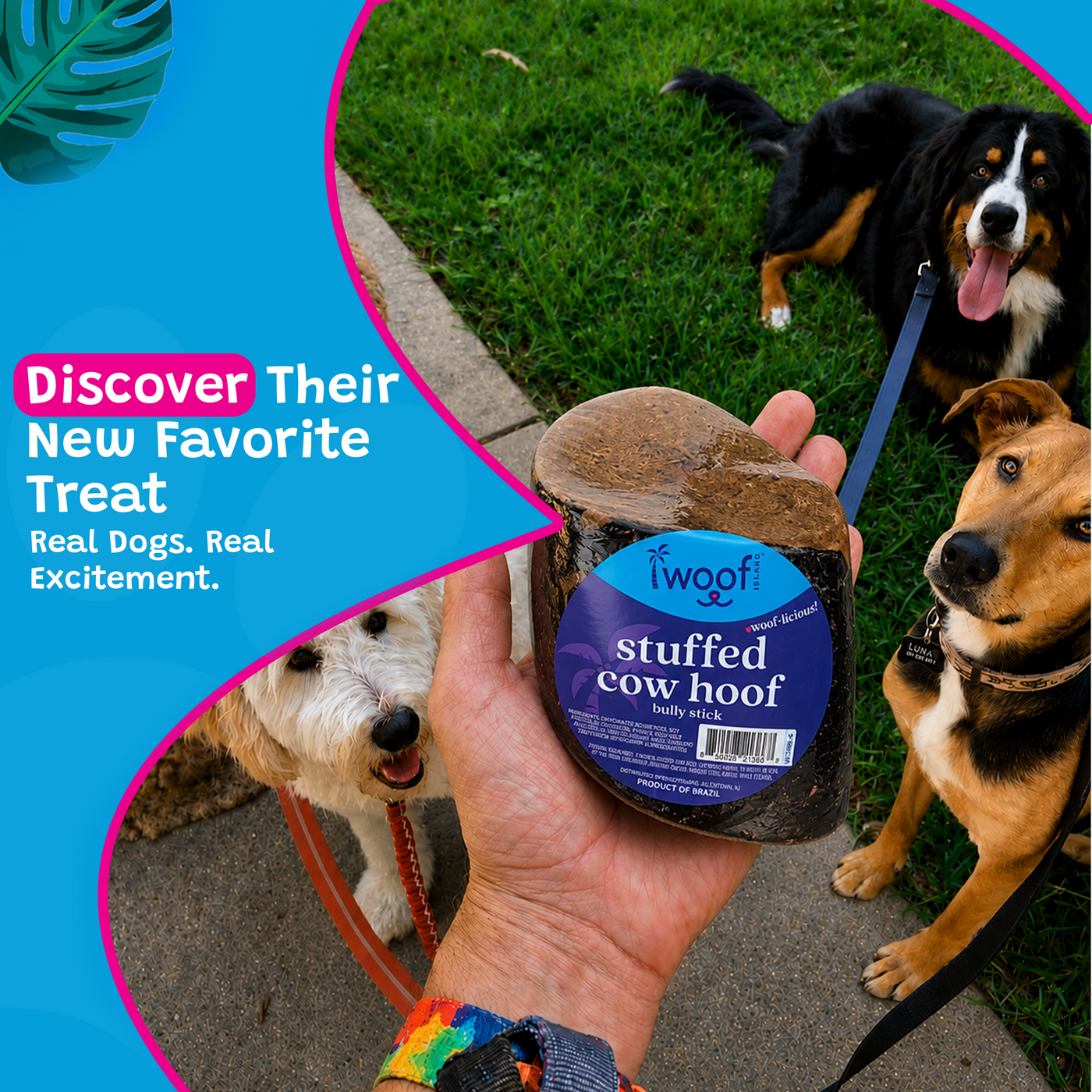 Woof Island Cow Hoof Bully Stick Filled, Extra Tough Long-Lasting Natural Dog Chew for Aggressive Chewers