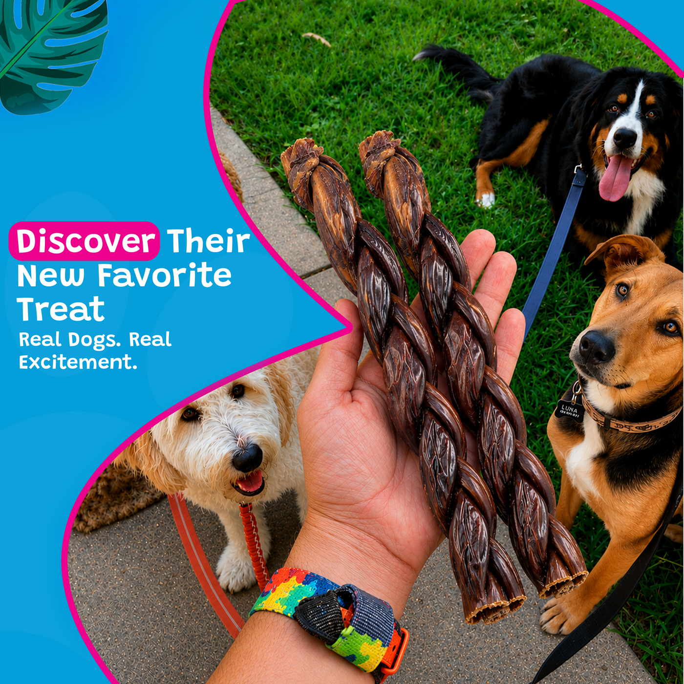 Woof Island Braided Joint Health Beef Gullet Stick, Natural Collagen-Rich Rawhide-Free Dog Chew 12 Inch