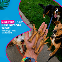 Woof Island Natural Chicken Feet Dog Chew, High-Protein Crunchy Joint Support & Dental Treat for Dogs