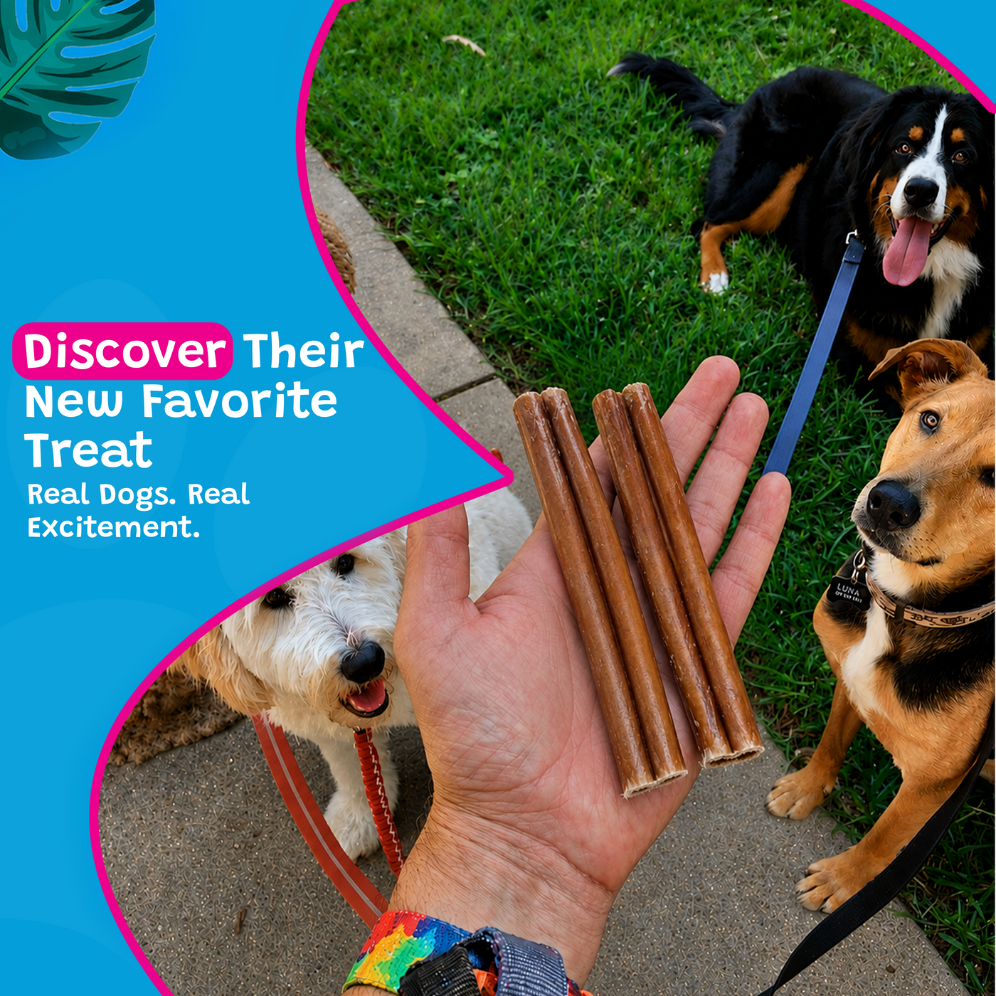 Woof Island Standard Beef Bully Stick, All Natural Single Ingredient Rawhide-Free Dog Chew for Aggressive Chewers 6 Inch