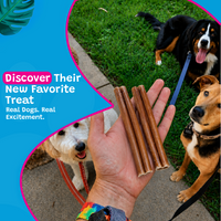 Woof Island Standard Beef Bully Stick, All Natural Single Ingredient Rawhide-Free Dog Chew for Aggressive Chewers 6 Inch