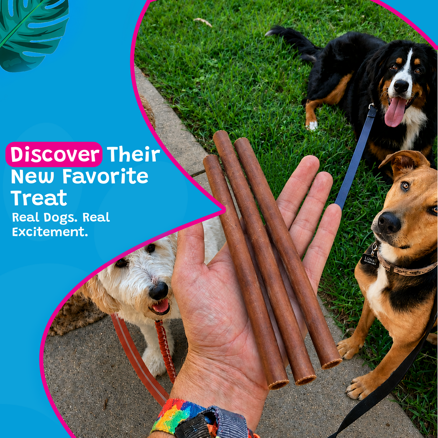 Woof Island Standard Beef Bully Stick, All Natural Single Ingredient Rawhide-Free Dog Chew for Aggressive Chewers 12 Inch