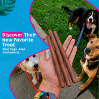 Woof Island Standard Beef Bully Stick, All Natural Single Ingredient Rawhide-Free Dog Chew for Aggressive Chewers 12 Inch