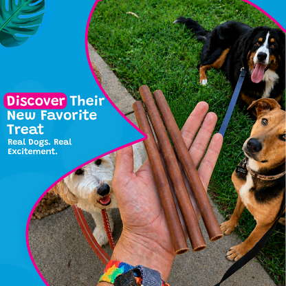 Woof Island Standard Beef Bully Stick, All Natural Single Ingredient Rawhide-Free Dog Chew for Aggressive Chewers 12 Inch
