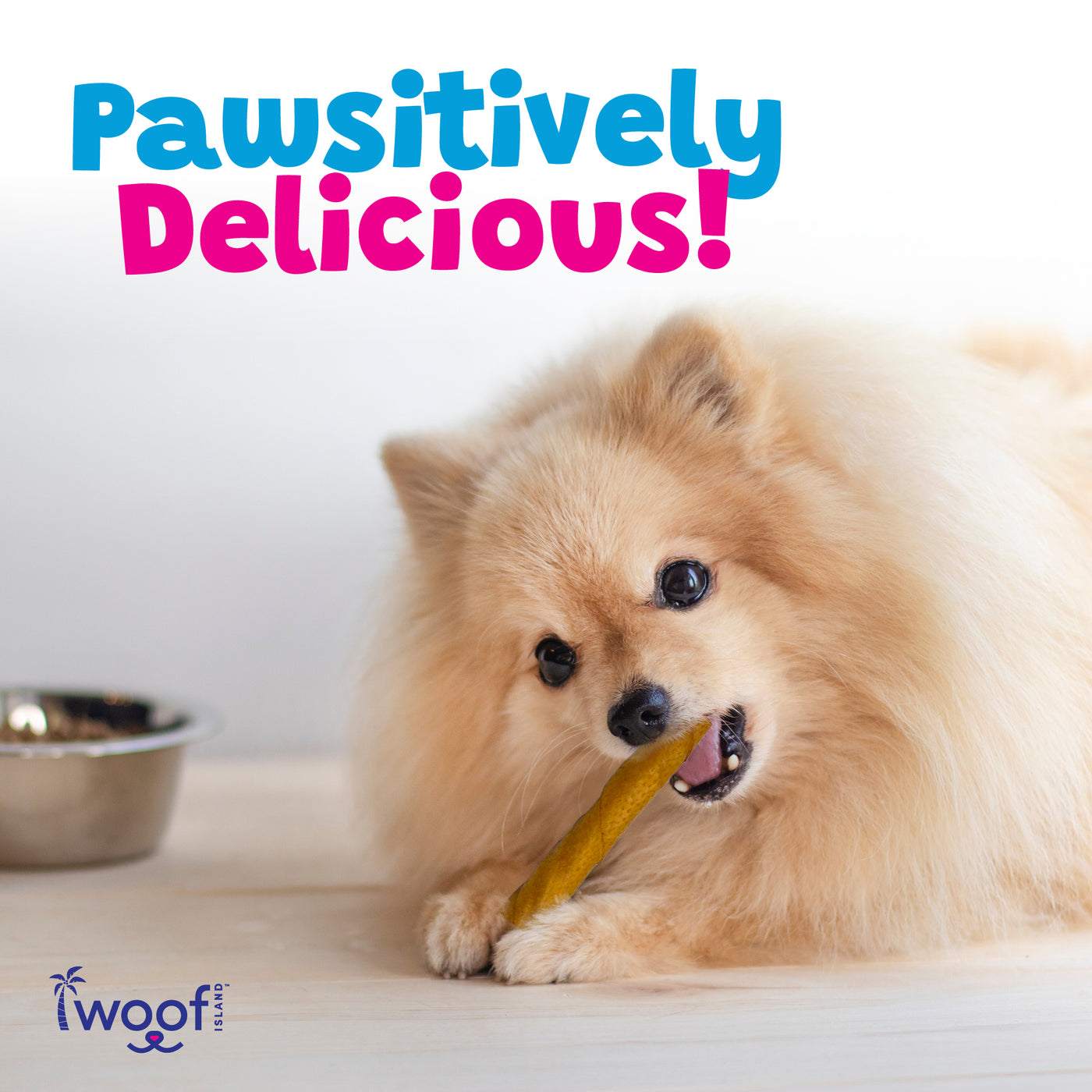 Woof Island Coconut & Banana Pork Rolls with Real Chicken Dog Chew, Rawhide-Free & Highly Digestible Dental Treat for Dogs