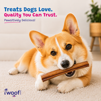Woof Island Jumbo Beef Bully Stick, All Natural Single Ingredient Rawhide-Free Dog Chew for Aggressive Chewers 6 Inch