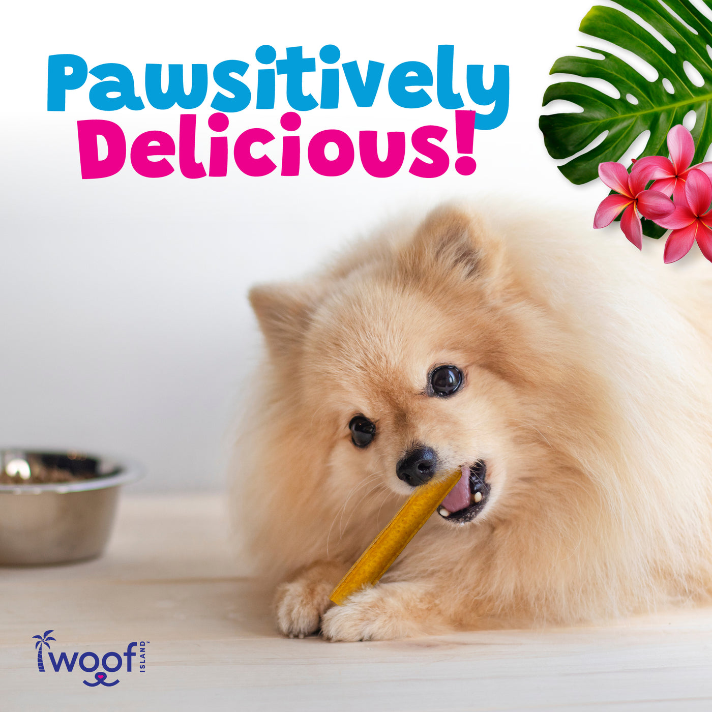 Woof Island Smoked Kalua Pork Rolls with Pineapple, High-Protein Dog Chews