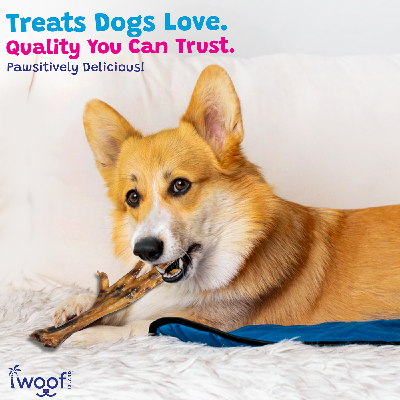 Woof Island Natural Chicken Feet Dog Chew, High-Protein Crunchy Joint Support & Dental Treat for Dogs