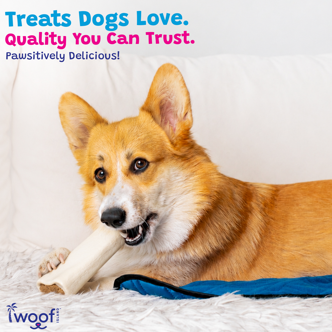 Woof Island Peanut Butter Filled Bone Dog Chew, Long-Lasting Natural Bone for Aggressive Chewers 3–4 Inch