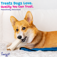 Woof Island Peanut Butter Filled Bone Dog Chew, Long-Lasting Natural Bone for Aggressive Chewers 3–4 Inch
