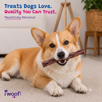 Woof Island Braided Beef Bully Stick, Odor-Free All Natural Single Ingredient Rawhide-Free Dog Chew for Aggressive Chewers 12 Inch