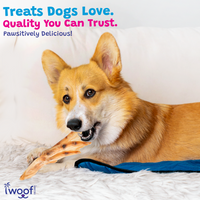Woof Island Natural Duck Feet Dog Chew, High-Protein Crunchy Joint Support & Dental Treat for Dogs