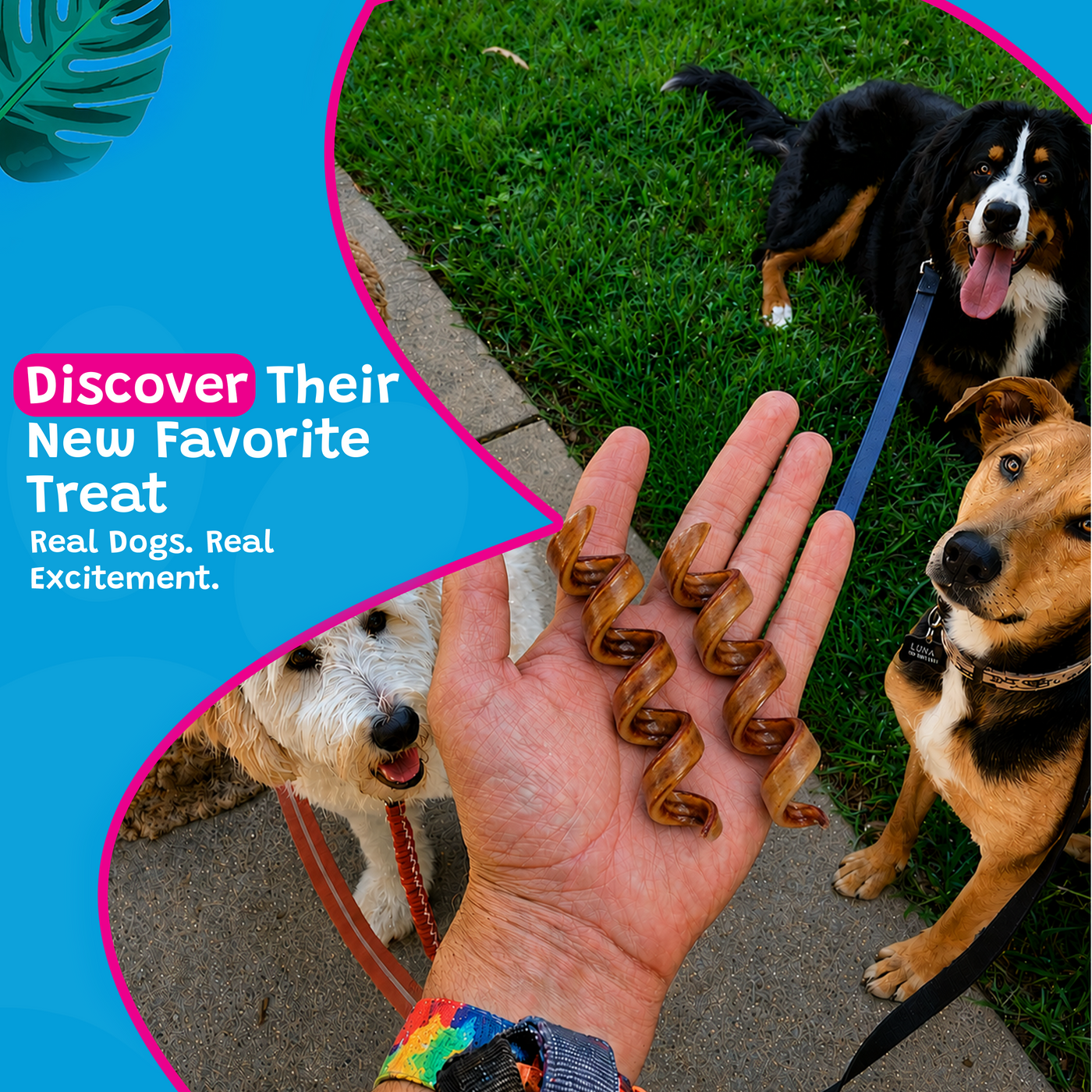 Woof Island Beef Collagen Spiral, Long-Lasting Natural Collagen Rawhide-Free Dog Chew for Aggressive Chewers 5–7 Inch