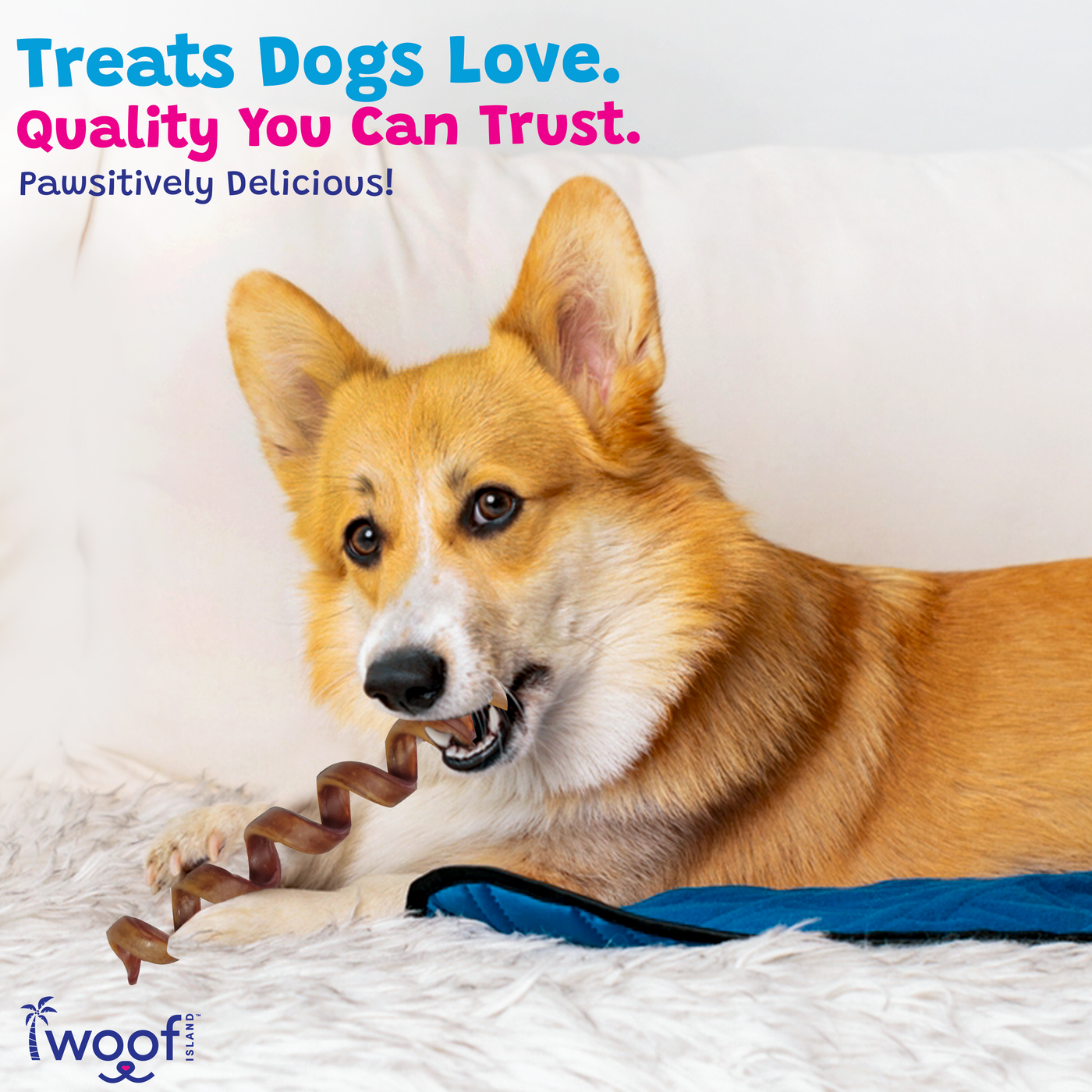 Woof Island Beef Collagen Spiral, Long-Lasting Natural Collagen Rawhide-Free Dog Chew for Aggressive Chewers 5–7 Inch