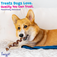Woof Island Beef Collagen Spiral, Long-Lasting Natural Collagen Rawhide-Free Dog Chew for Aggressive Chewers 5–7 Inch