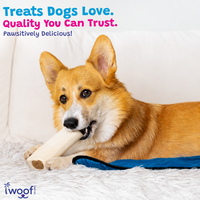 Woof Island Peanut Butter Filled Bone Dog Chew, Long-Lasting Natural Bone for Aggressive Chewers 5–6 Inch
