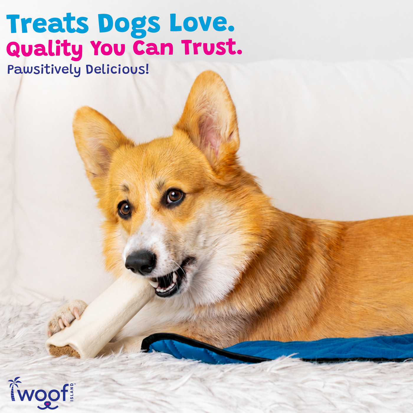 Woof Island Cheese & Bacon Filled Bone Dog Chew, Long-Lasting Natural Bone for Aggressive Chewers 5–6 Inch