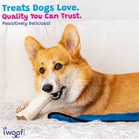 Woof Island Cheese & Bacon Filled Bone Dog Chew, Long-Lasting Natural Bone for Aggressive Chewers 5–6 Inch