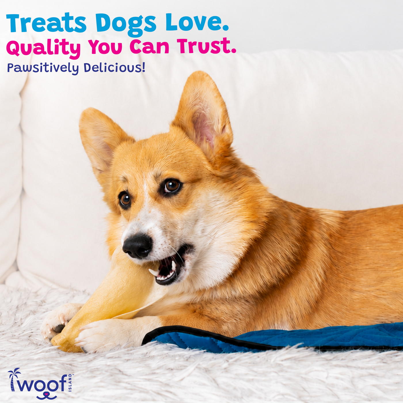 Woof Island Natural Cow Ear Dog Chew, Low-Fat Crunchy Pig Ear Alternative for Dogs