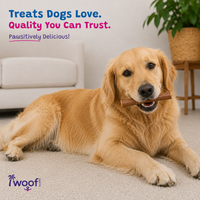 Woof Island Beef Collagen Stick, Long-Lasting Natural Collagen Rawhide-Free Dog Chew for Aggressive Chewers 6 Inch