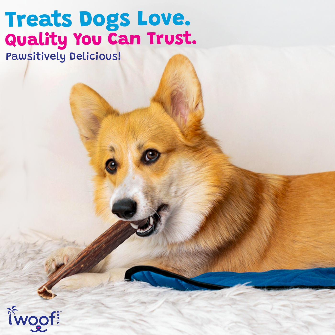 Woof Island Beef Gullet Joint Health Dog Chew, Rawhide-Free, High-Protein Natural Chew for Dogs 6 Inch