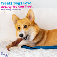Woof Island Sliced Pig Ear Dog Chew, Natural High-Protein Crunchy Dental Treat for Dogs