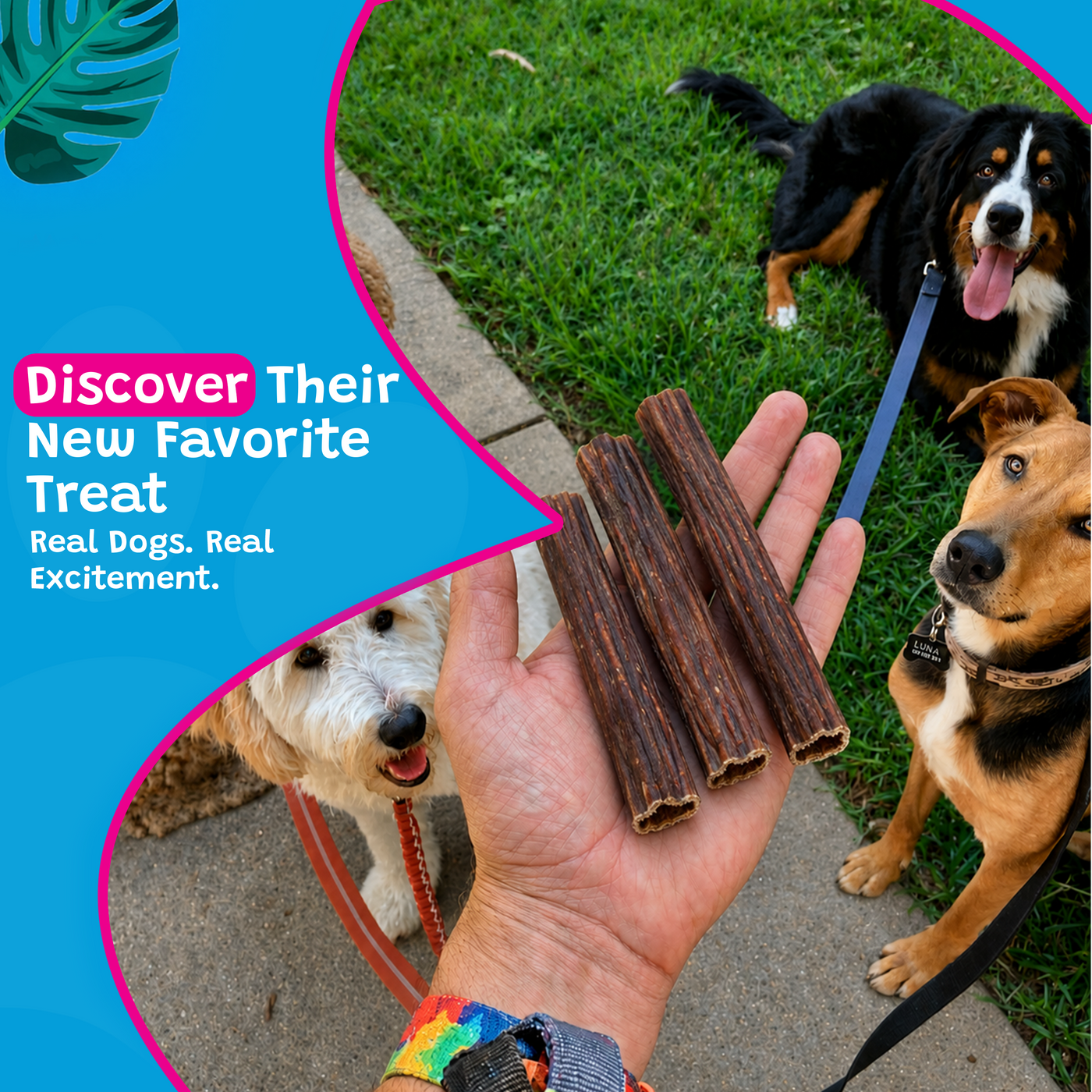 Woof Island Beef Gullet Joint Health Dog Chew, Rawhide-Free, High-Protein Natural Chew for Dogs 6 Inch