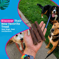Woof Island Beef Gullet Joint Health Dog Chew, Rawhide-Free, High-Protein Natural Chew for Dogs 6 Inch