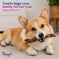 Woof Island Braided Beef Collagen Dog Chew, Long-Lasting Natural Collagen Chew for Aggressive Chewers 12 Inch