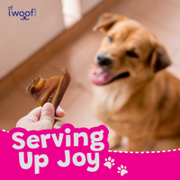 Woof Island Whole Pig Ear Dog Chew, Natural High-Protein Crunchy Dental Treat for Dogs