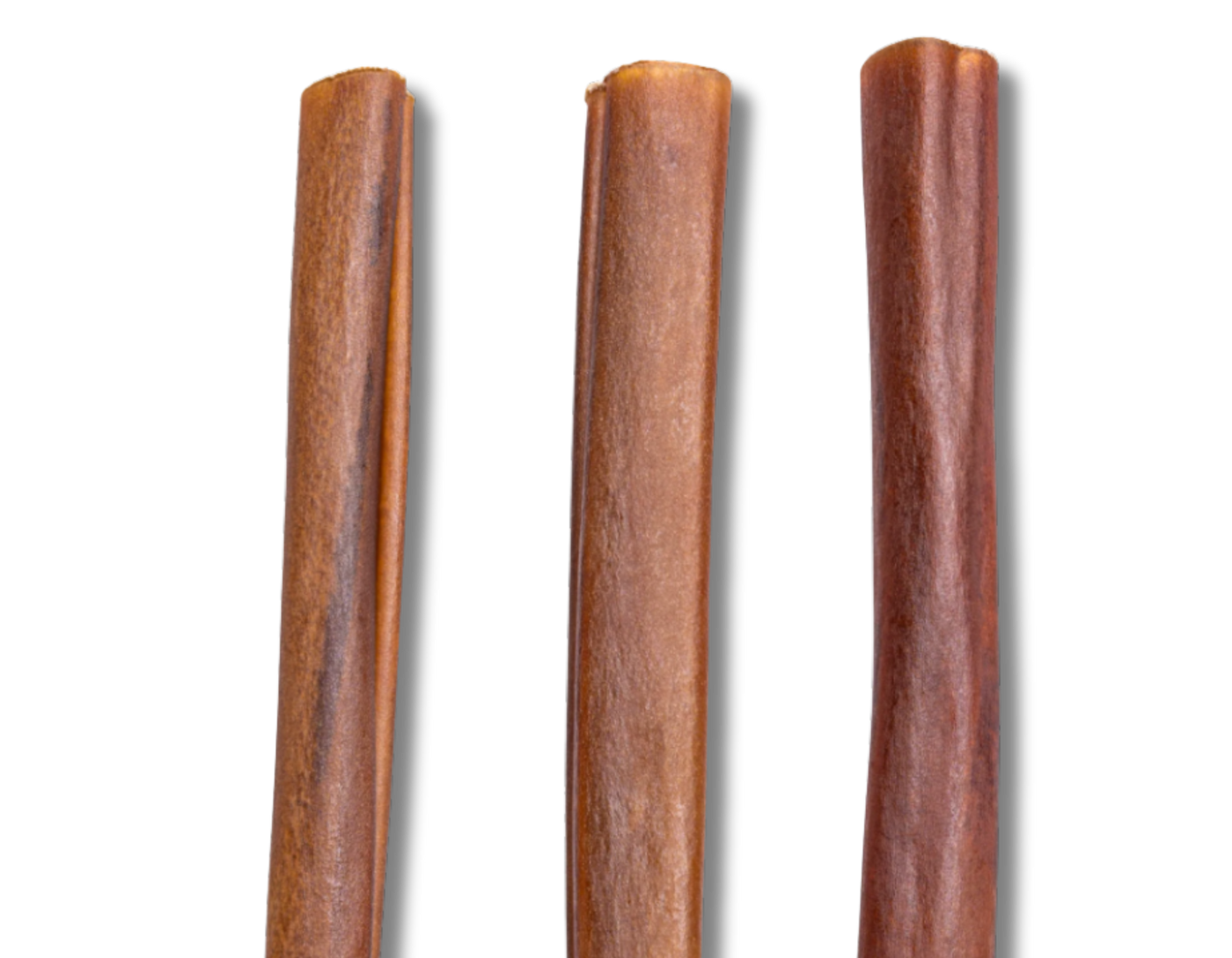 6in  Collagen 