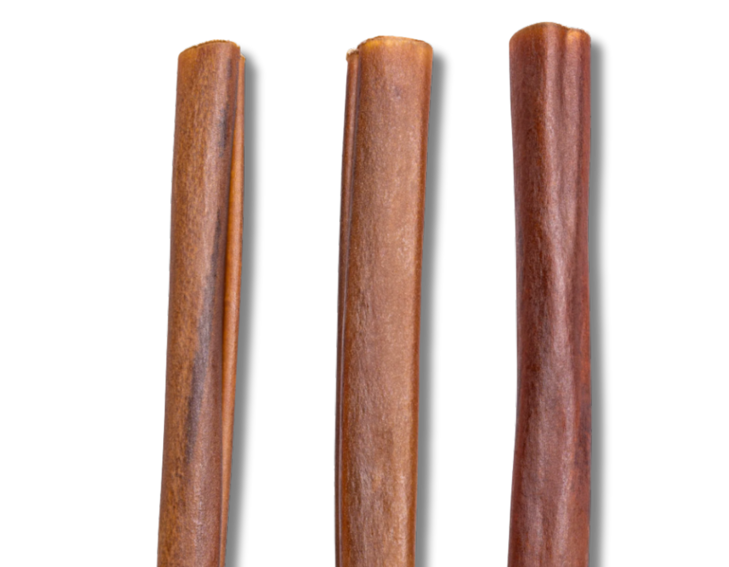 6in  Collagen 