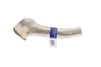 Elk Antler (X-Large)