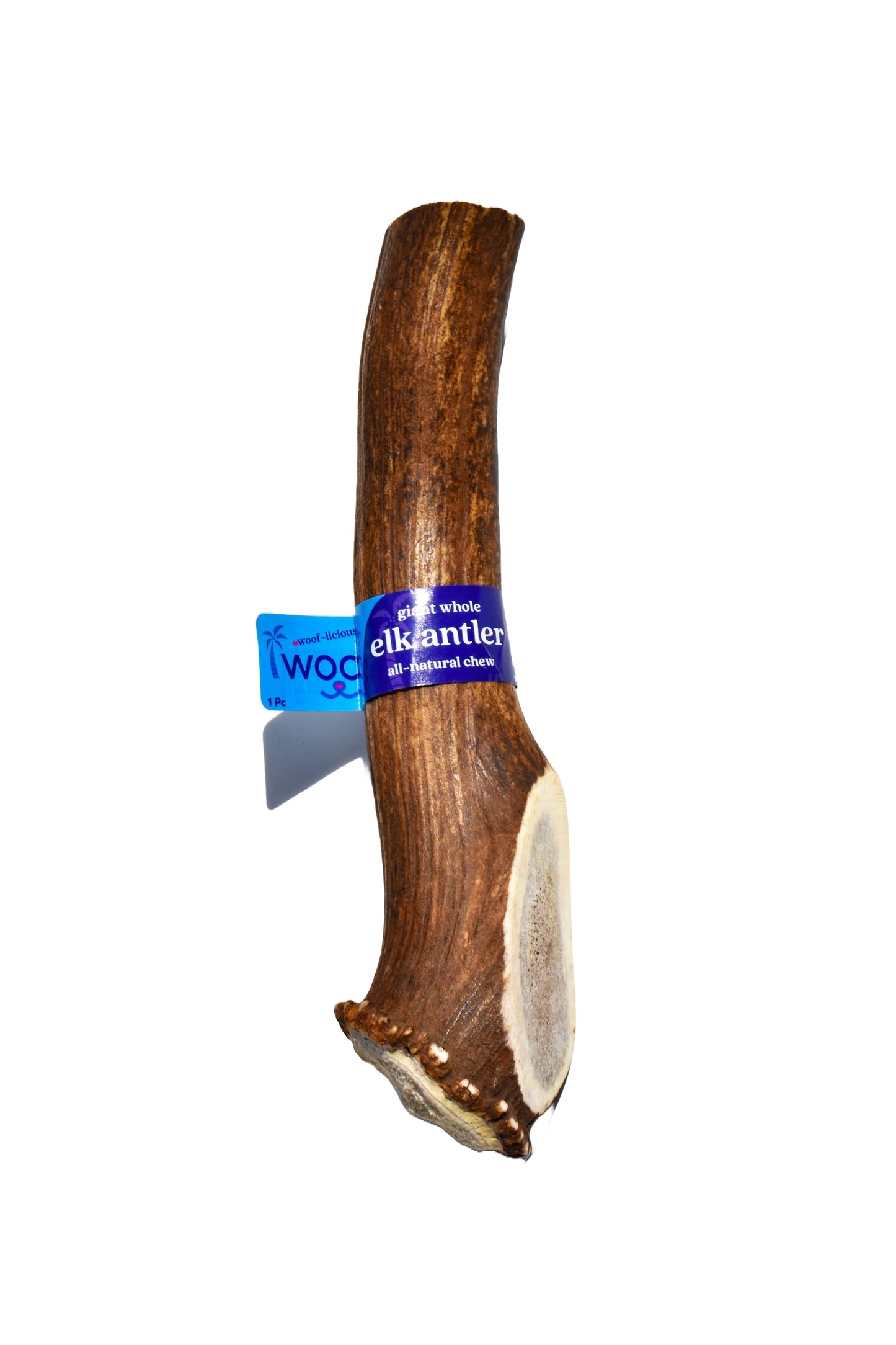 Elk Antler (Giant)