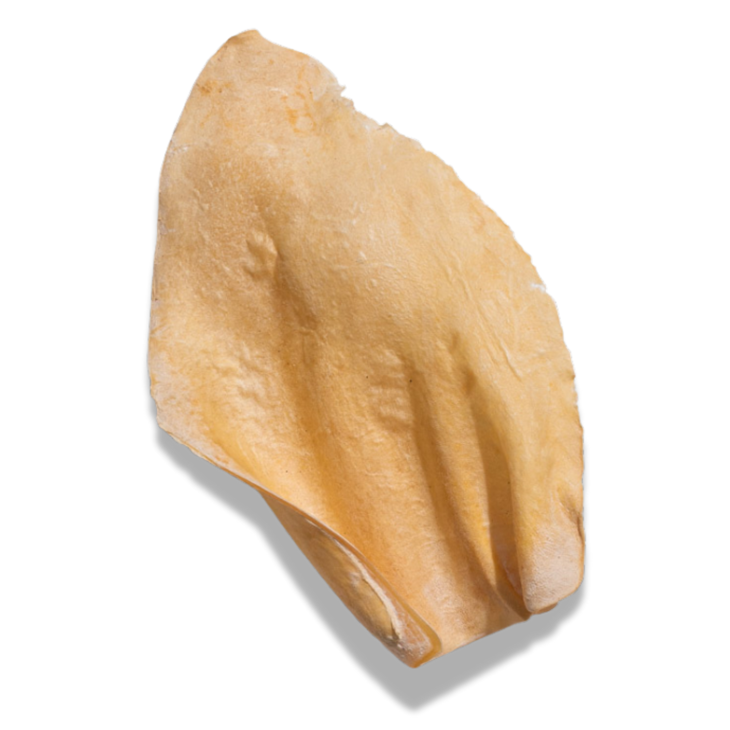 White Cow Ear Dog Chews – Clean, Low-Fat & Stain-Free Natural Treat
