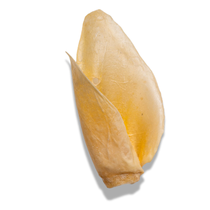White Cow Ear Dog Chews – Clean, Low-Fat & Stain-Free Natural Treat