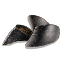 Woof Island Natural Cow Hoof No Filling, Extra Tough Long-Lasting Natural Dog Chew for Aggressive Chewers