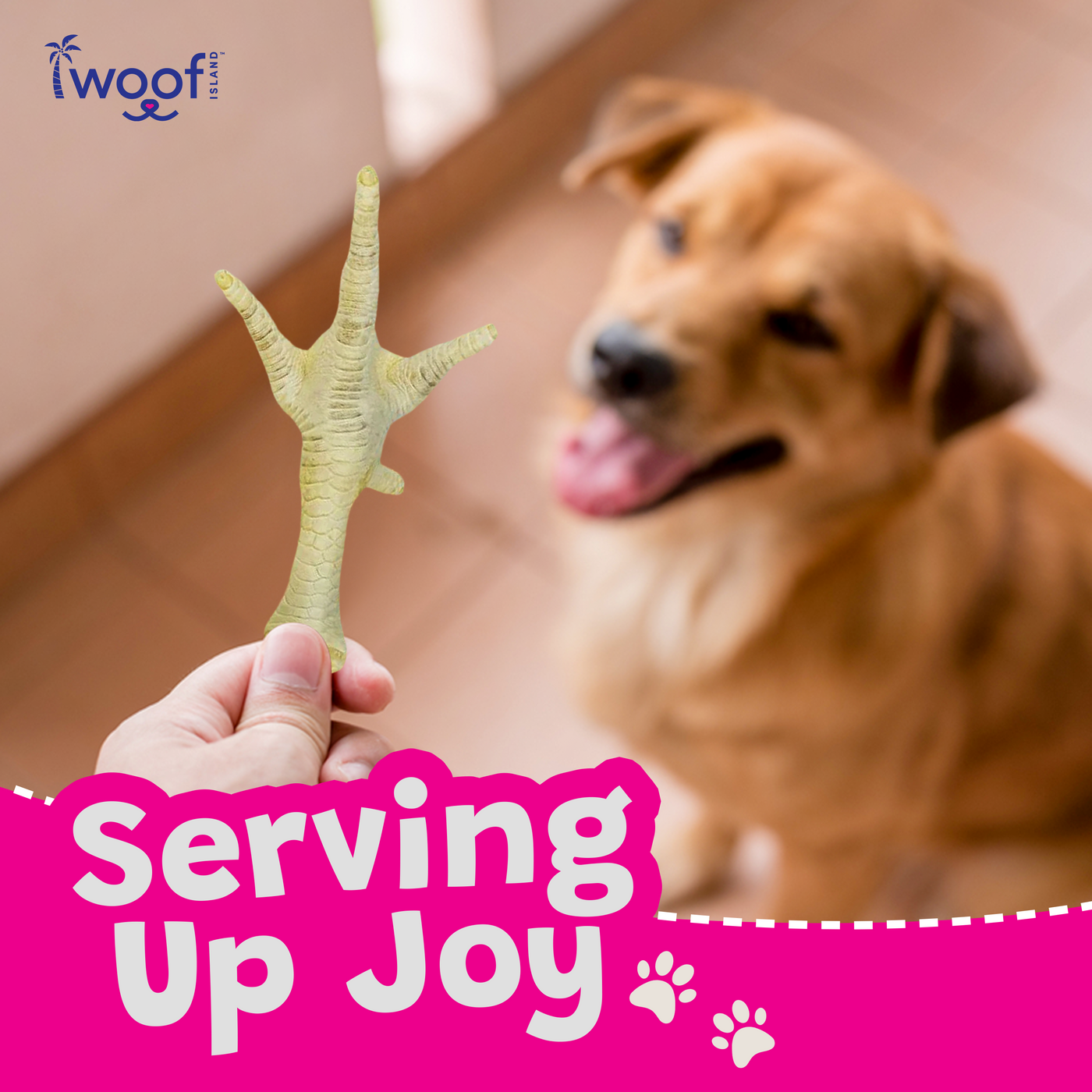 Woof Island Puffed Chicken Feet Dog Treats, 100% Natural, Rawhide-Free & High-Protein Chews for Dogs