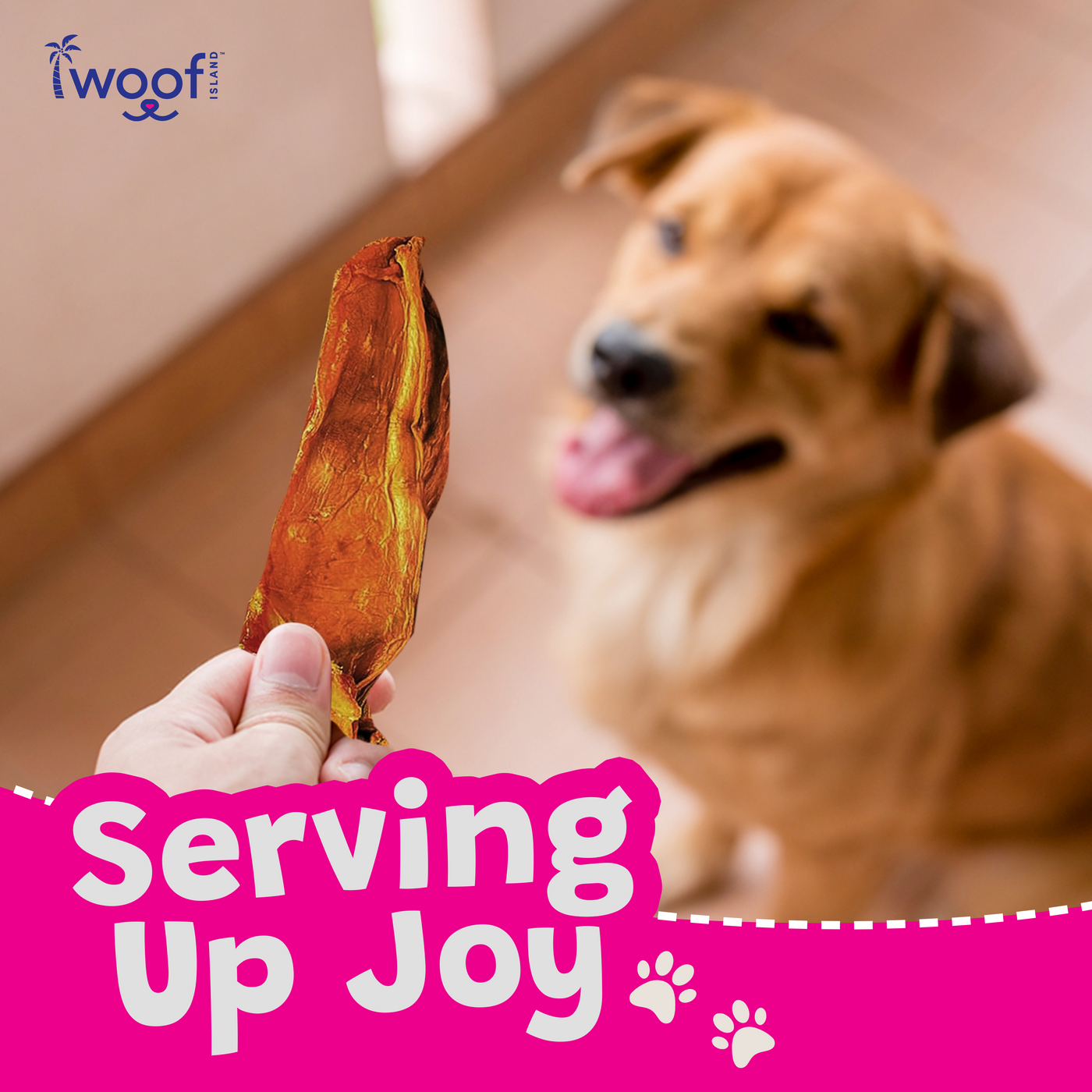 Woof Island Dried Mango Wrapped with Real Duck Dog Treats, 100% Natural, Rawhide-Free Tropical Treats for Dogs