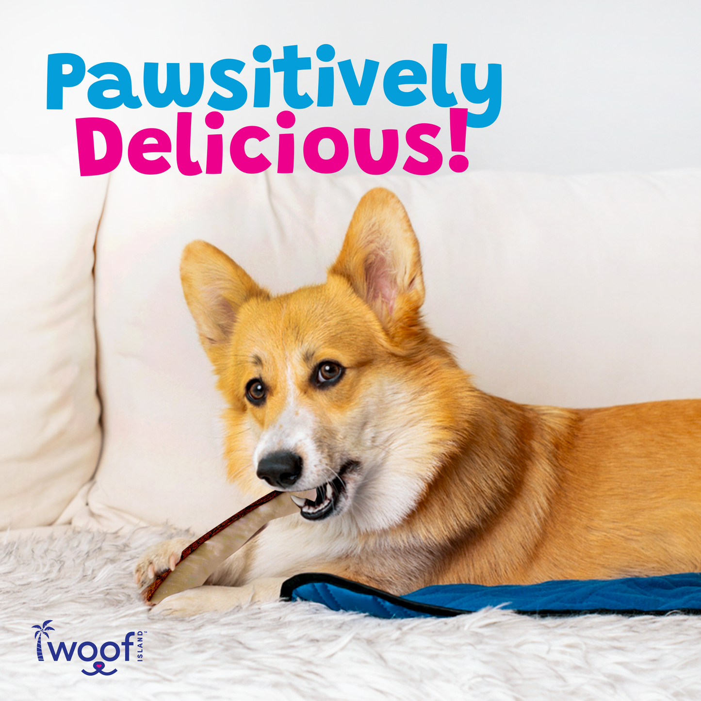 Dried Coconut Wrapped With Chicken - 6oz Bag