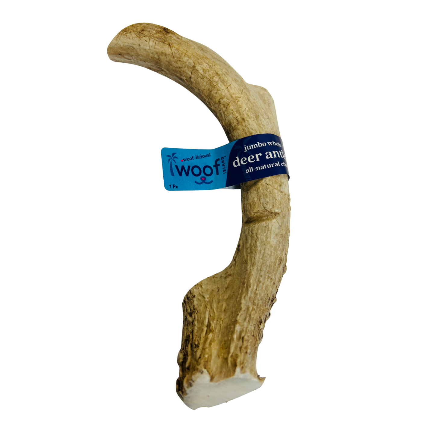 Jumbo Deer Antler Chews | Whole & Split | Grade A Natural Shed