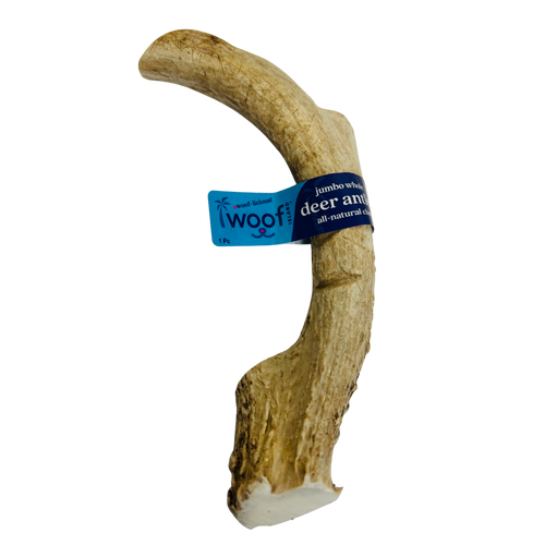 Jumbo Deer Antler Chews | Whole & Split | Grade A Natural Shed