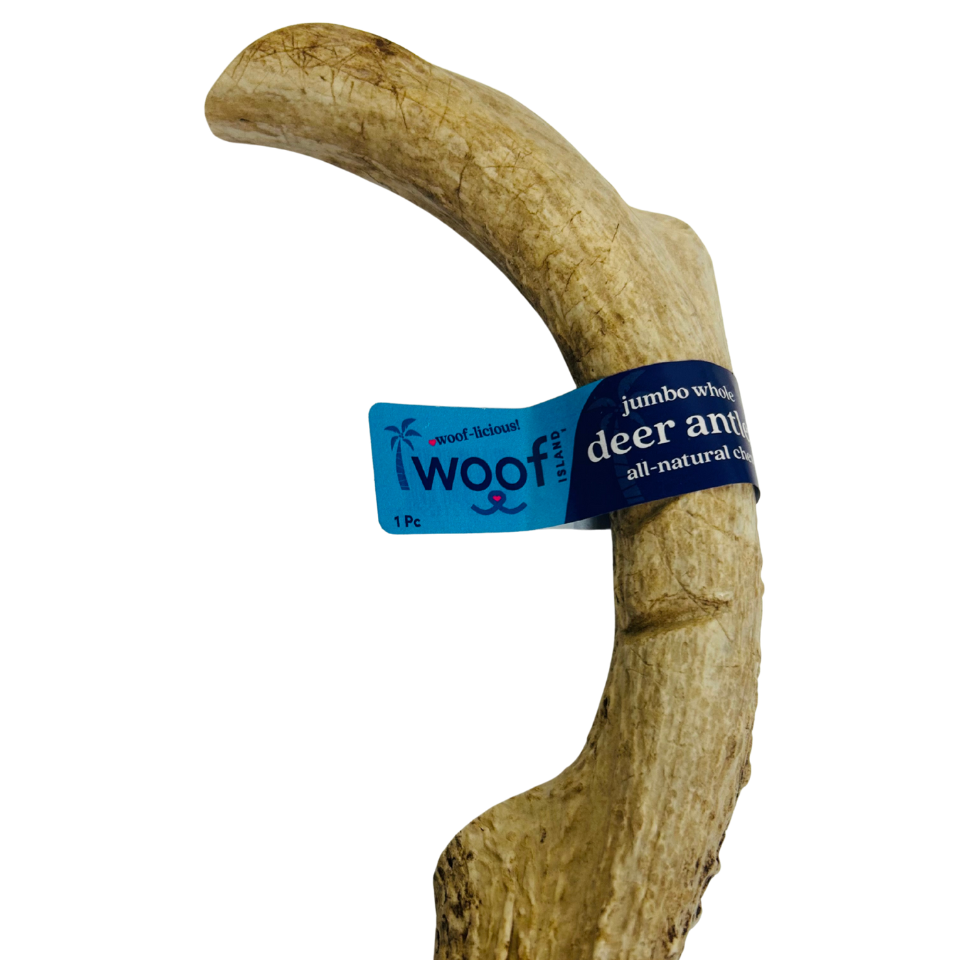 Jumbo Deer Antler Chews | Whole & Split | Grade A Natural Shed